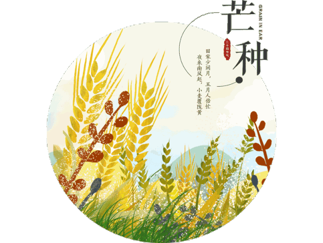 图片25.png